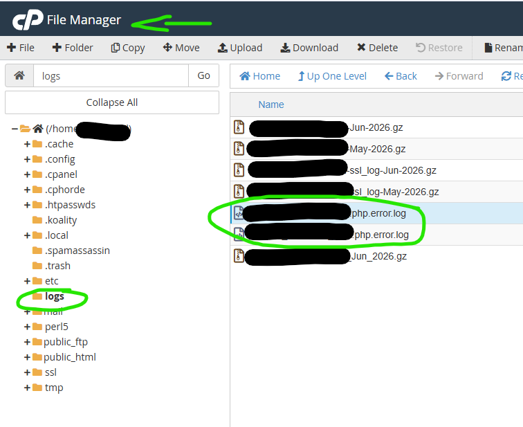 screenshot showing where the Logs and Error Logs live in the file manager in cPanel