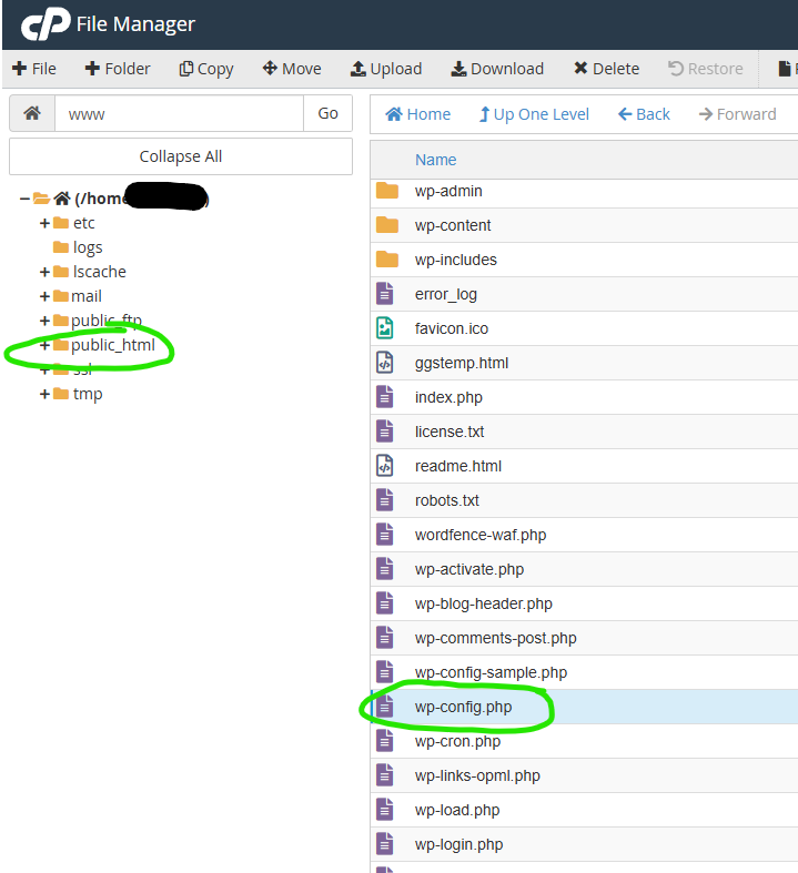 screenshot showing where the wp-config.php file lives in the file manager in cPanel